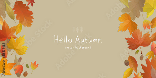 Vector illustration of autumn banner background with copy space. Fall landscape concept.
