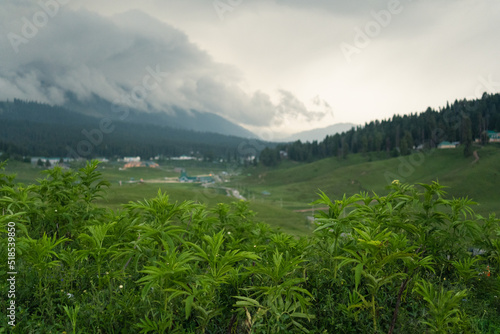 Landscape with mountains in Gulmarg, Kashmir, India.