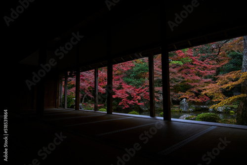 View from Rengeji Temple in Kyoto  Japan 