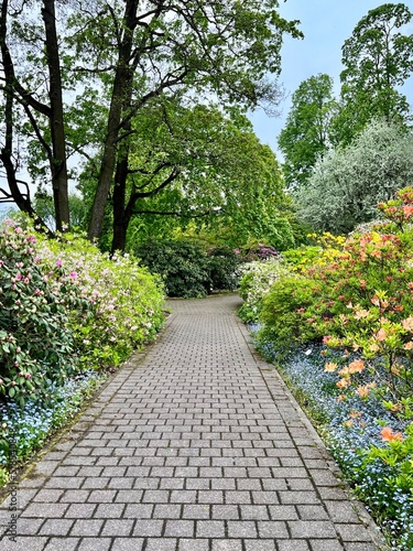 path in the garden © Elena