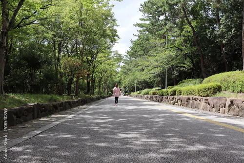 Wallpaper Mural 並木道を歩く女性の後ろ姿 Torontodigital.ca