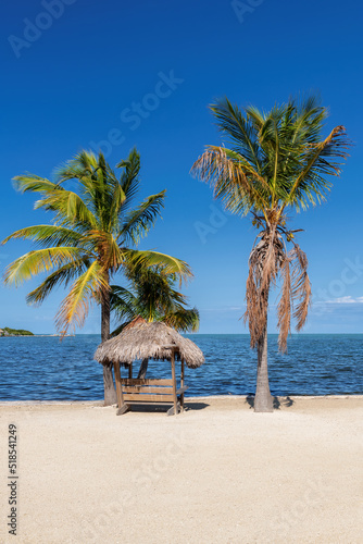 Paradise beach with white sand, coco palms and umbrella. Summer vacation and tropical beach concept. 