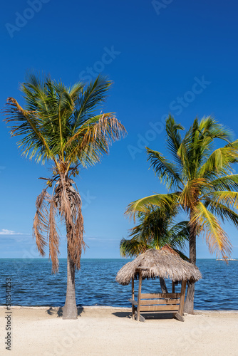 Palm trees and straw umbrella in tropical beach