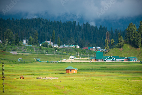Photography Gulmarg ( Mini Switzerland ), Jammu and Kashmir, India.
