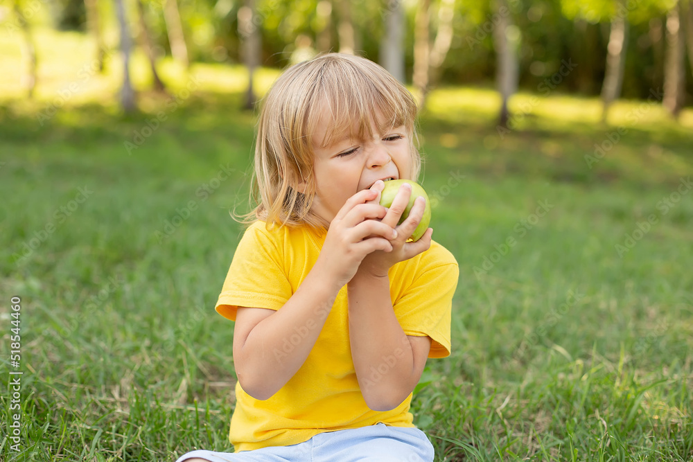 a happy blond boy is sitting on the lawn in a yellow T-shirt biting a green apple a happy blond boy is sitting on the lawn in a yellow T-shirt biting a green apple