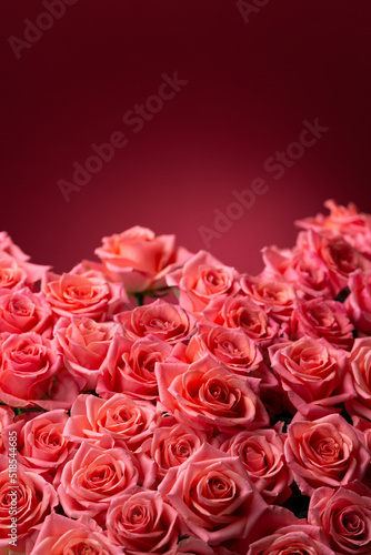 赤い背景にピンクのバラの花束