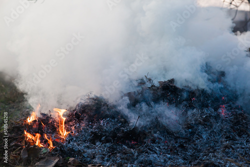 Dry leaves burn and smoke close up.