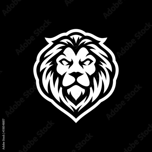 Lion head line art or silhouette logo design. Lion face vector illustration on dark background  