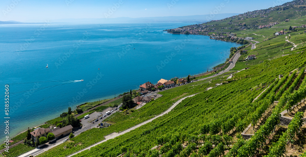 Lavaux region- vineryard and lake- Switzerland