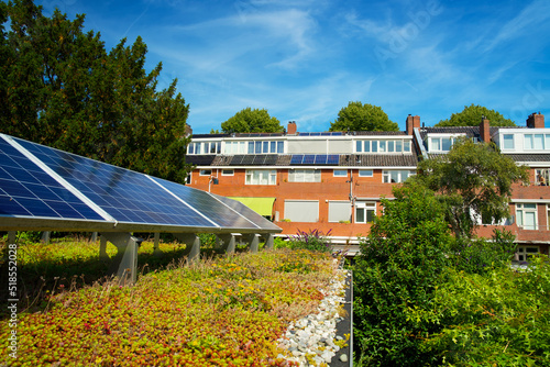 Green roof with flowering sedum plants and a row of blue solar panels for climate adaptation