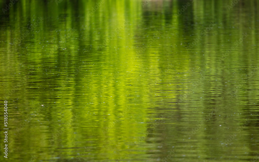 The green expanse of water on the reservoir as an abstract background. The green expanse of water on the reservoir as an abstract background.