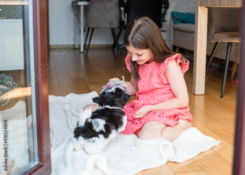 A 7-year-old girl plays with a Shih Tzu puppy