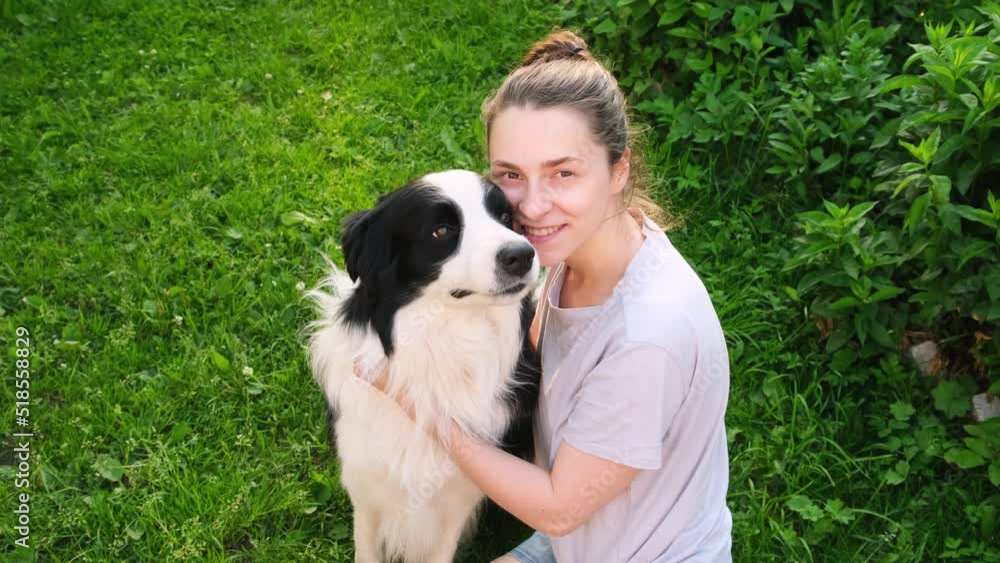 Smiling young attractive woman stroking playing with cute puppy dog border collie on summer outdoor background. Owner girl with pet dog friend walking in park. Human and animal friendship concept