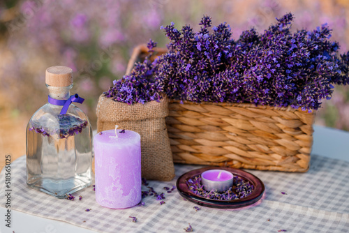 Basket with beautiful lavender in the field in Provance with Lavander water and candles. Harvesting season