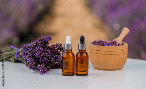 Dropper bottle with lavender cosmetic oil or hydrolate against lavender flowers field as background with copy space. Herbal cosmetics and modern apothecary concept