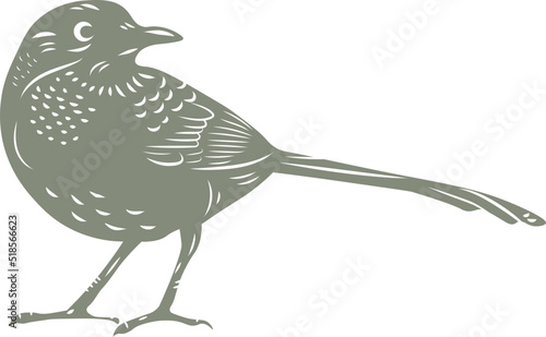 Birds & Blooms Graphics