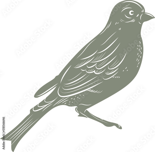 Birds & Blooms Graphics