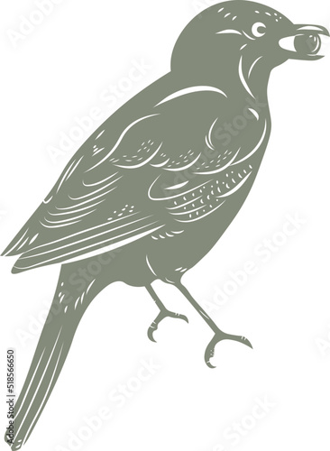 Birds & Blooms Graphics