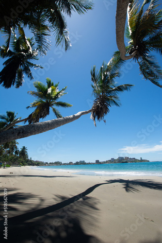 Blue beach with coconut palm trees. tropical beach. Beach vacation. sand and sun