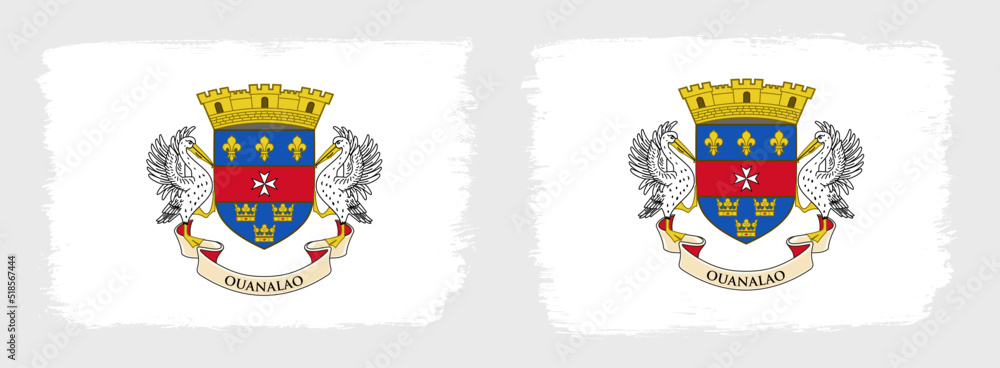 A set of two vector brush flags of Saint Barthelemy with abstract shape brush stroke effect