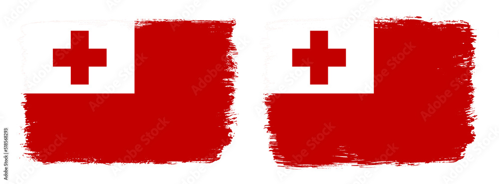 A set of two vector brush flags of Tonga with abstract shape brush stroke effect