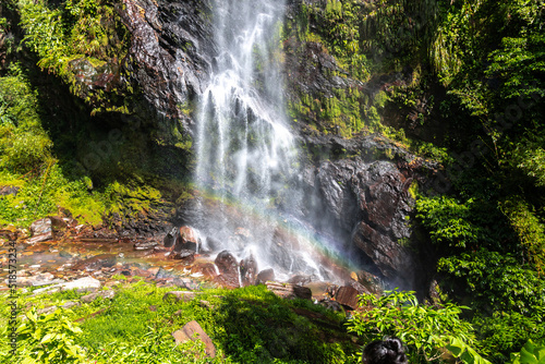 Water flows into a basin below at Maracas Waterfall in Trinidad, and Tobago, carving its way past moss, plants, and trees on a sunny day. Caribbean island, rainforest, waterfall, rainbow, jungle.