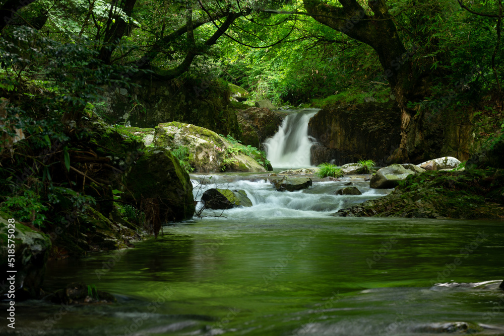 新緑の渓流