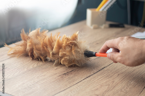 Tablou pe pânză Use a feather duster to clean the table.