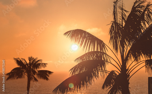 Fotografie Wish you were here