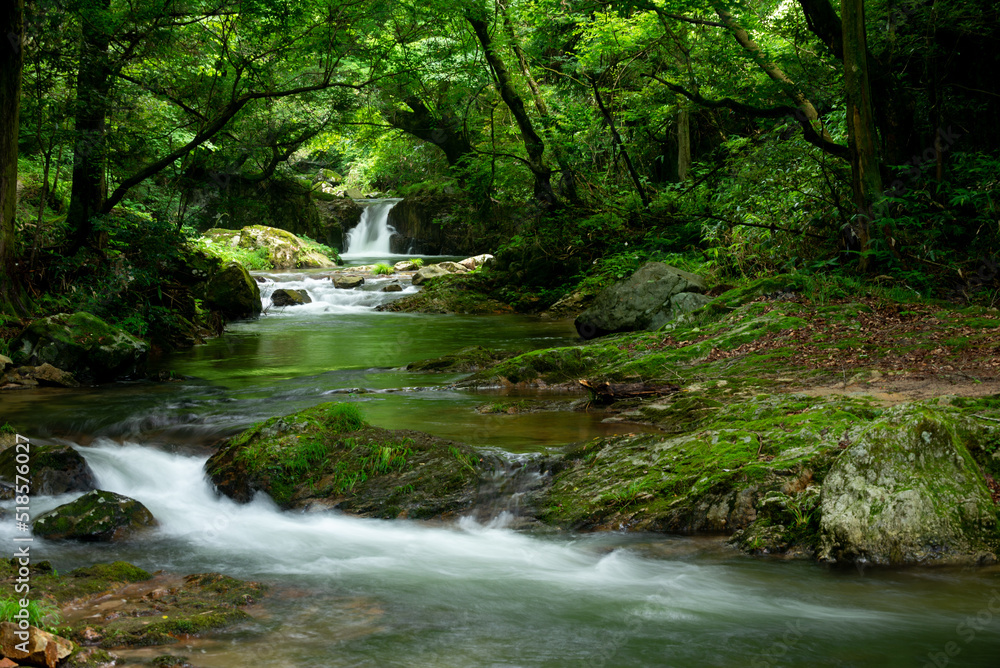 Obraz premium 新緑の渓流