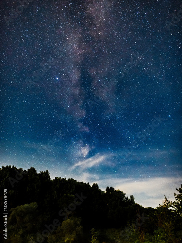 A natural landscape at night. The Milky Way galaxy and many stars in the sky above the forest, vertical photo
