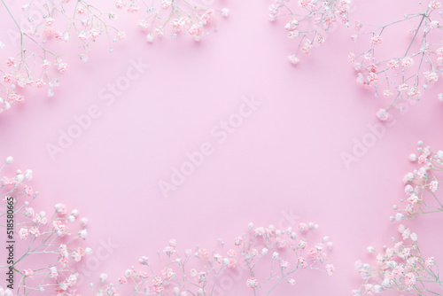 Beautiful flower background of pink gypsophila flowers. Flat lay  top view. Floral pattern.