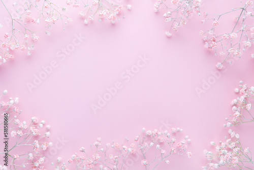 Beautiful flower background of pink gypsophila flowers. Flat lay, top view. Floral pattern.