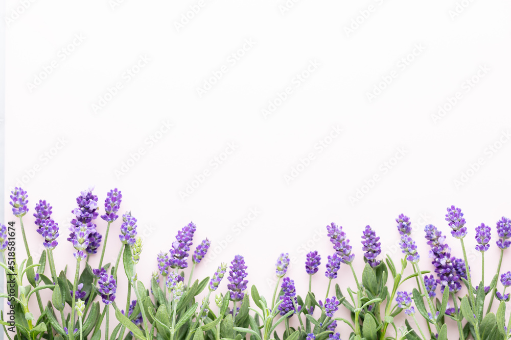 Flowers composition, frame made of lavender flowers on pastel background. - obrazy, fototapety, plakaty 