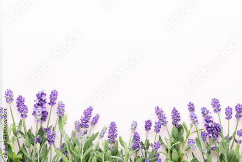 Flowers composition, frame made of lavender flowers on pastel background.