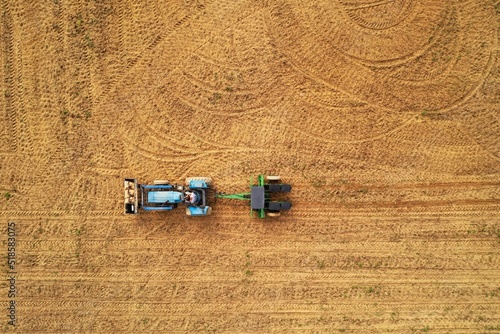 Planting corn in a field. 