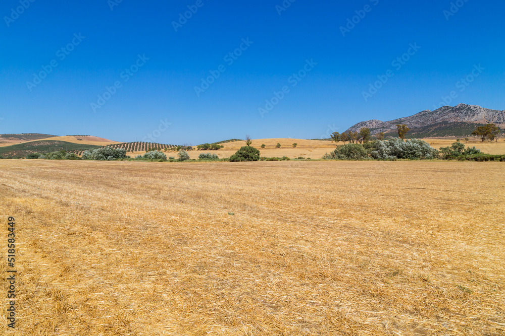 Fototapeta premium Sierra de Grazalema natural park