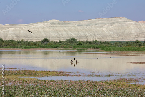 Nallihan Bird Sanctuary in Ankara district of Turkey. (Nallıhan Kuş Cenneti in Turkish)	
 photo