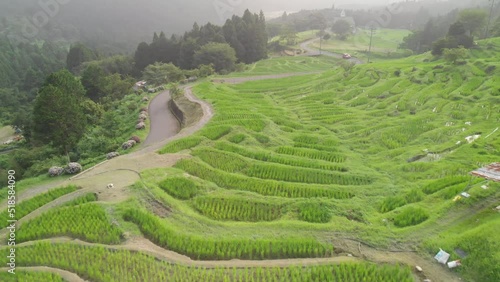 Aerial view of the Maruyama Senmaida Rice Terraces, Kumano, Japan photo