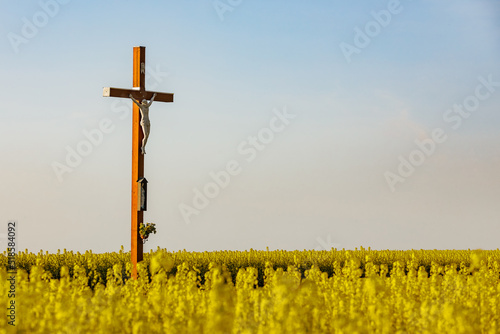 Drewniany krzyż w otoczeniu kwitnącego rzepaku