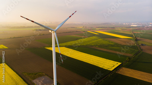 Farma wiatrowa. Elektryczne turbiny wiatrowe w kwitnącym polu rzepaku, panorama photo