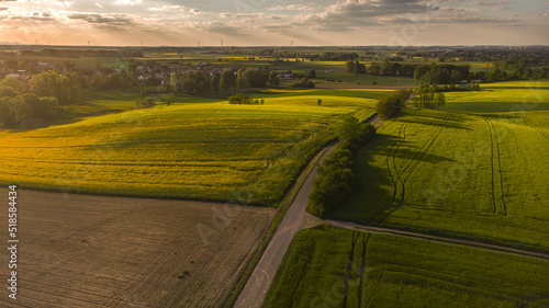 Ciepły dzień na wsi. Żółte pole rzepaku. Droga do pól rzepakowych o zachodzie słońca © Katarzyna