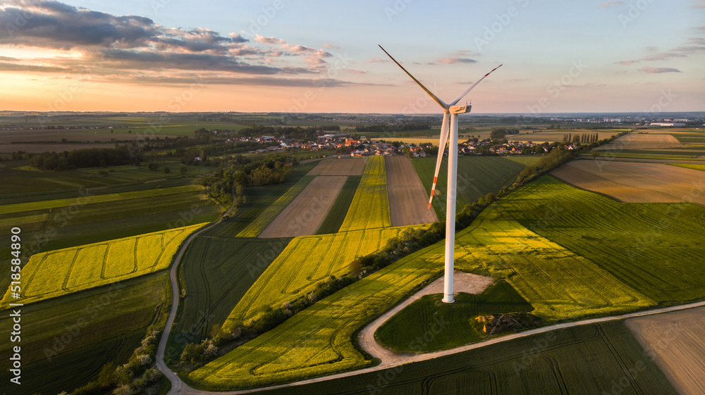Farma wiatrowa. Elektryczne turbiny wiatrowe w kwitnącym polu rzepaku, panorama - obrazy, fototapety, plakaty 