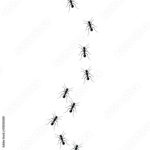 Ant trail colony. Marching ants in search of food. Vector Illustration 10 eps