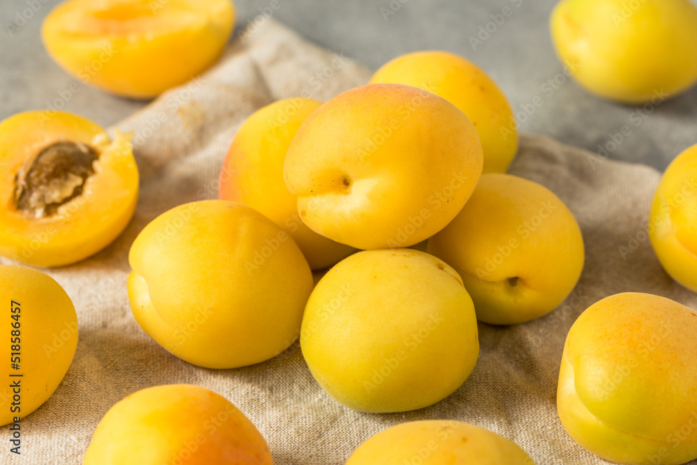 Healthy Organic White Apricot Angelcots Healthy Organic White Apricot Angelcots