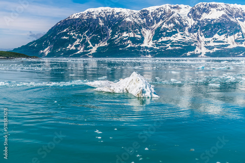 A view of an iceberg close to the Valerie Glacier in Disenchartment Bay in Alaska in summertime photo