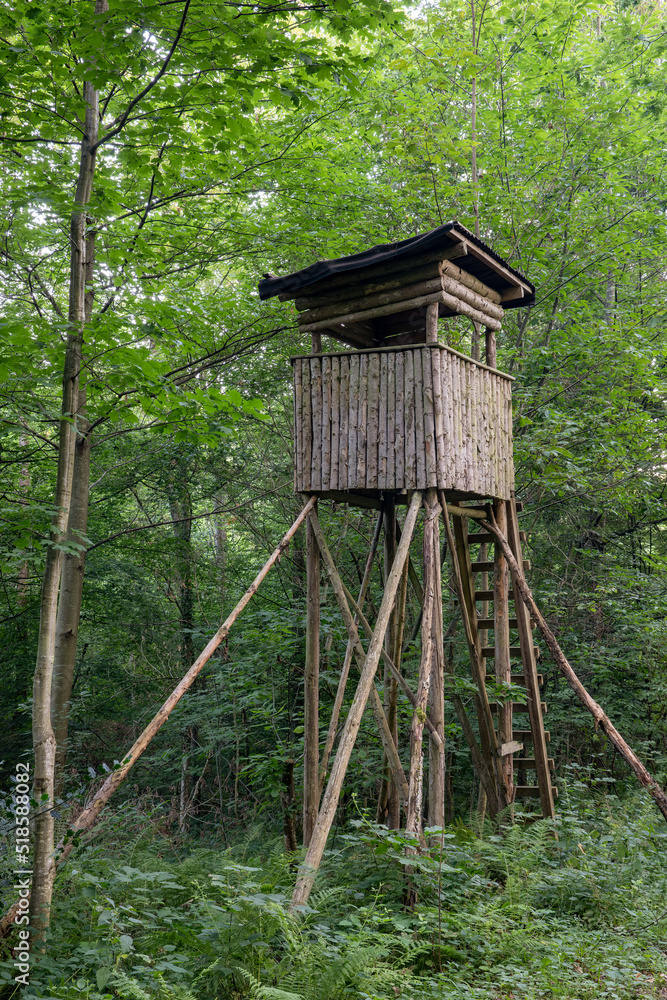 High seat of a hunter in the black forrest. Tree stand, ladder stand or deer stand. Deer hunting. HDR