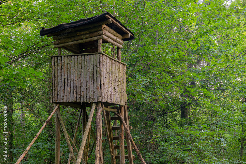 High seat of a hunter in the black forrest. Tree stand, ladder stand or deer stand. Deer hunting. HDR High seat of a hunter in the black forrest. Tree stand, ladder stand or deer stand. Deer hunting. HDR