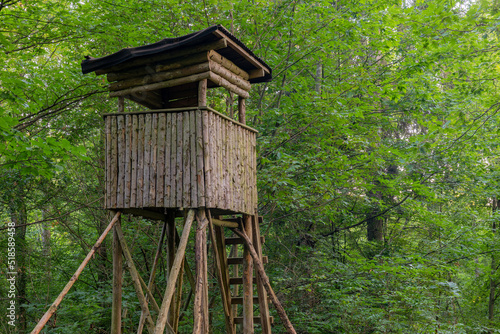 High seat of a hunter in the black forrest. Tree stand, ladder stand or deer stand. Deer hunting. HDR © Peter Togel