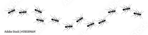 Ant trail colony on white background. Marching ants in search of food. Vector Illustration 10 eps